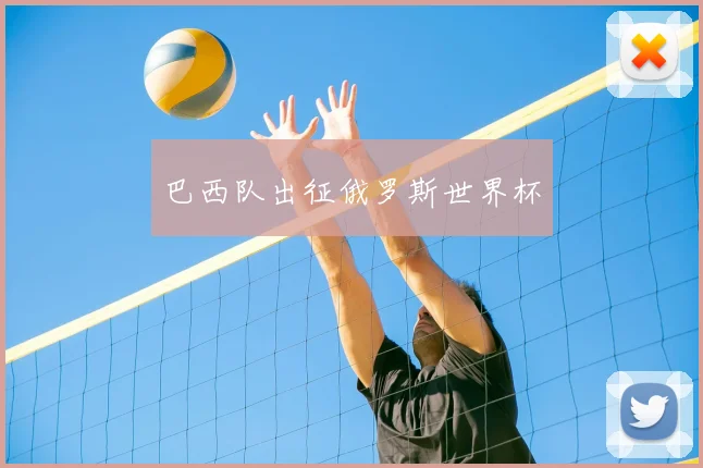 巴西队出征俄罗斯世界杯