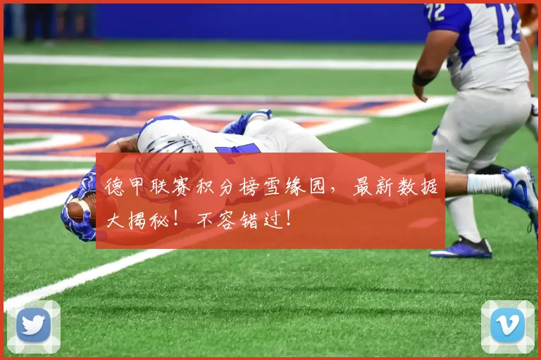 德甲联赛积分榜雪缘园，最新数据大揭秘！不容错过！