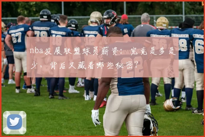 nba发展联盟球员薪资:究竟是多是少,背后又藏着哪些秘密?